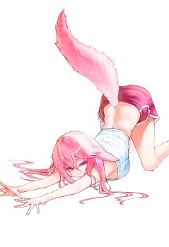 1girl absurdres animal_ears back blush breasts closed_mouth commentary dolphin_shorts english_commentary fingernails floppy_ears fox_ears fox_girl fox_tail genshin_impact hair_between_eyes highres hyujjo large_breasts long_hair median_furrow nail_polish pink_hair pink_nails pink_shorts pink_tail purple_eyes shirt shorts simple_background smile solo stretching tail thighs top-down_bottom-up white_background white_shirt yae_miko