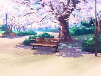 artist_request bare_tree bench blue_sky bush cherry_blossoms cloud day game_cg grass lamppost magia_record:_mahou_shoujo_madoka_magica_gaiden mahou_shoujo_madoka_magica no_humans official_art outdoors park path petals road scenery shade sky spring_(season) tree
