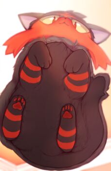 absurdres against_fourth_wall cat_loaf ceiling closed_mouth commentary downturned_eyes english_commentary from_below gen_7_pokemon highres indoors litten looking_at_viewer looking_down lying nintendo no_humans on_stomach pawpads pokemon pokemon_(creature) pokemon_focus protodesu solo