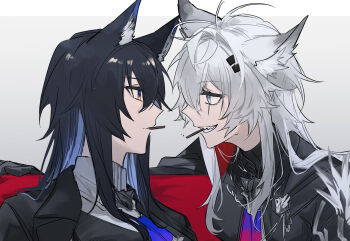 2girls animal_ears arknights black_hair close-up commentary_request eye_contact face-to-face food food_in_mouth grey_background grey_eyes grey_hair hair_between_eyes highres lappland_(arknights) lappland_the_decadenza_(arknights) long_hair looking_at_another mouth_hold multiple_girls official_alternate_costume pocky portrait profile scar scar_across_eye scar_on_face simple_background texas_(arknights) texas_the_omertosa_(arknights) upper_body wolf_ears wolf_girl yakota_(usuk-yako) yellow_eyes yuri