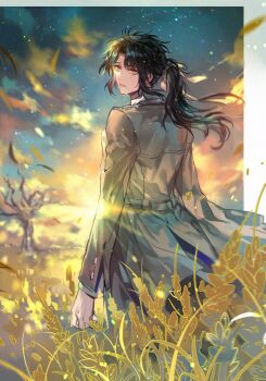 Rule 34 | 1boy, bare tree, black hair, blue sky, brown coat, buttons, cloud, coat, collared shirt, commentary request, crying, crying with eyes open, d.gray-man, dusk, falling petals, floating clothes, floating hair, hair ribbon, highres, long coat, long hair, long sleeves, looking at viewer, looking back, low ponytail, male focus, mana walker, nevakuma (fanfanas), parted lips, petals, ponytail, ribbon, shirt, sidelocks, sky, solo, star (sky), starry sky, streaming tears, sun, sunlight, tears, tree, trench coat, wavy hair, wheat, wheat field, white ribbon, white shirt, yellow eyes, yellow petals