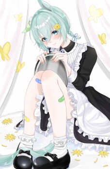 1girl :t animal_ears apron bandaid bandaid_on_leg black_dress black_shoes bloomers blue_eyes blue_ribbon blush braid braided_twintails dress ear_covers embarrassed frilled_apron frills green_eyes grey_hair hair_between_eyes hair_ribbon hand_up hands_up head_tilt highres holding holding_tray horse_ears horse_girl knees_up long_sleeves multicolored_eyes on_ground ribbon sango0707315 seiun_sky_(umamusume) shoes short_hair short_twintails single_ear_cover sitting socks solo tray twintails two-tone_eyes umamusume underwear white_bloomers white_socks