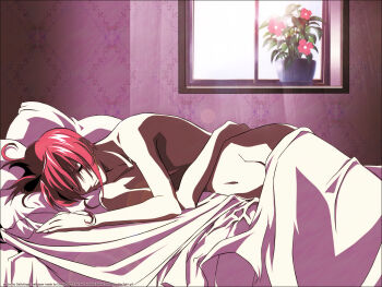 1boy bed bed_sheet blanket collarbone flower fujimiya_ran groin hair_over_one_eye indoors lying magazine_scan male_focus naked_sheet navel non-web_source official_art on_bed on_side pillow plant red_hair scan sleeping solo topless_male weiss_kreuz