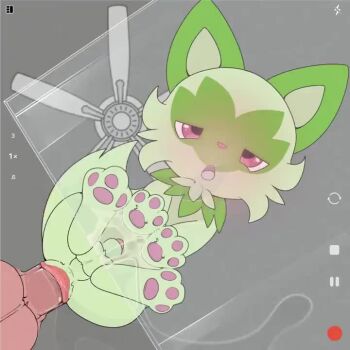 2boys all_fours anal animal_ears animated anus ass bestiality blush cat_ears cat_paws cat_tail ceiling_fan disembodied_penis doggystyle gen_9_pokemon glass_table green_fur male_focus moaning multiple_boys nine-volt_(talentlesshack) nintendo open_mouth penis pink_eyes pokemon pokemon_(creature) pokephilia recording sex sex_from_behind sound sprigatito table tagme tail testicles video