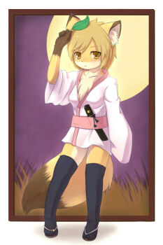 Rule 34 | 1girl, :<, animal ears, female focus, fox, fox ears, fox tail, furry, furry female, grass, japanese clothes, kagerofu, leaf, leaf on head, long sleeves, moon, night, object on head, orange eyes, sandals, solo, tail, thighhighs