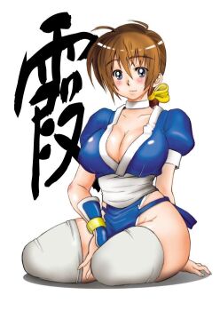 1girl blush breasts brown_hair cleavage dead_or_alive inoue_shintarou kasumi_(doa) large_breasts long_hair looking_at_viewer ninja pelvic_curtain short_sleeves thighhighs white_background