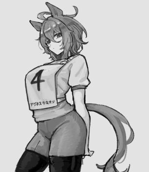1girl agnes_tachyon_(umamusume) ahoge animal_ears closed_mouth cowboy_shot curvy greyscale gym_shirt gym_shorts hair_between_eyes highres horse_ears horse_girl horse_tail huge_ahoge looking_at_viewer medium_hair monochrome original_race_uniform_(umamusume) race_bib shirt short_shorts short_sleeves shorts simple_background solo tail umamusume wakasoba white_background white_shirt