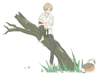 Rule 34 | 1boy, animal, black pants, blonde hair, branch, brown eyes, cat, closed mouth, collared shirt, elbow rest, grass, highres, holding, looking at animal, looking at another, mmmkawaine, multicolored cat, natsume takashi, natsume yuujinchou, nyanko-sensei, open collar, pants, school uniform, shirt, short hair, simple background, sitting, smile, tree, white background, white shirt