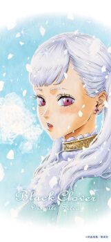 1girl absurdres black_clover character_name commentary_request copyright_name cursive earrings grey_hair highres jewelry long_hair looking_at_viewer noelle_silva parted_lips pink_eyes portrait solo tabata_yuuki teeth twintails upper_teeth_only