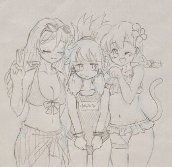 Rule 34 | amateru kai, beach, bikini, blush, braid, closed eyes, embarrassed, eyewear on head, frilled bikini, frills, happy, high ponytail, highres, minya (nyanko daisensou), nyanko daisensou, one eye closed, ponytail, school swimsuit, summer, sunglasses, swimsuit, ururun cat, valkyrie cat