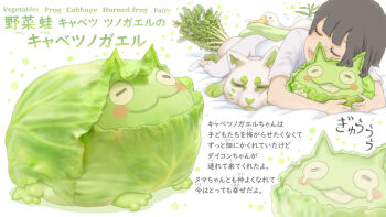 1girl bird cabbage closed_eyes commentary_request daikon duck food-themed_creature fox highres horned_frog leaf lying mixed-language_text on_stomach open_mouth oyasai_yousei_to_manabu_yasai_no_chishiki_zukan ponkichi_(ponkichim) radish tears white_background