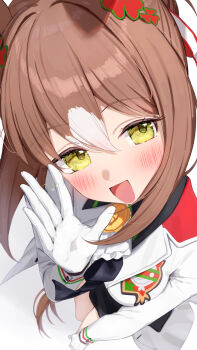 Rule 34 | 1girl, animal ears, ascot, blush, brown hair, clover hair ornament, commentary request, fine motion (noble seamair) (umamusume), fine motion (umamusume), foreshortening, gloves, green vest, hair between eyes, hair bun, hair ornament, highres, horse ears, horse girl, jacket, looking at viewer, multicolored hair, open mouth, saboten mushi, simple background, single hair bun, smile, solo, standing, streaked hair, umamusume, vest, white ascot, white background, white gloves, white hair, white jacket, white streaks