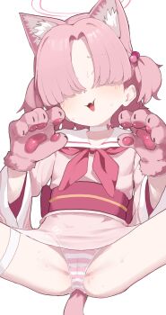 1girl absurdres animal_ears animal_hands blue_archive cat_ears cat_tail chlorella_observation_club_member_(blue_archive) choker gloves hair_over_eyes halo highres japanese_clothes loli mirumiruchan neckerchief panties paw_gloves pink_hair pink_halo simple_background solo spread_legs striped_clothes striped_panties tail underwear white_background white_choker