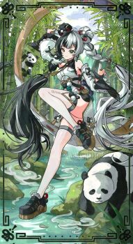 1girl animal aqua_nails arm_up bamboo bamboo_forest bare_shoulders black_gloves black_hair black_shoes braid braided_twintails chakram china_dress chinese_clothes commentary detached_sleeves dialyn_(zenless_zone_zero) dress earrings forest full_body gloves hair_extensions hair_ornament highres jewelry leg_up long_hair long_sleeves looking_at_viewer mising_0033 multicolored_hair multiple_others nature necktie outdoors panda panda_hair_ornament partially_fingerless_gloves ring_hair_extensions river shoes single_glove smile split-color_hair standing standing_on_one_leg thighhighs twintails water weapon white_hair white_sleeves white_thighhighs wire yellow_necktie zenless_zone_zero