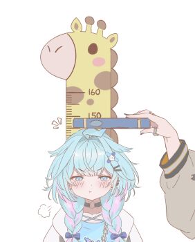 Rule 34 | 1girl, absurdres, ahoge, black choker, blue eyes, blue hair, braid, choker, commentary, hair flaps, hair ornament, height, height mark, highres, hololive, hololive dev is, jacket, kharuhi9637, lightning ahoge, looking at viewer, mizumiya su, mizumiya su (1st costume), multicolored hair, o-ring, pink hair, shirt, streaked hair, twin braids, virtual youtuber