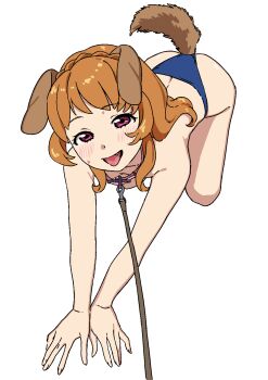 1girl aikatsu! aikatsu!_(series) all_fours animal_ears bikini bikini_bottom_only blue_bikini blush brown_hair collarbone dog_ears dog_girl dog_tail fake_animal_ears fake_tail fang flat_chest full_body highres leash looking_at_viewer open_mouth osame ozora_akari pink_eyes smile solo swimsuit tail tongue tongue_out topless_female viewer_holding_leash