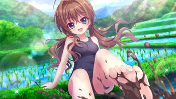 1girl :d ahoge alternate_hairstyle arm_support bare_arms bare_shoulders barefoot blue_eyes blue_one-piece_swimsuit blue_sky braid breasts brown_hair cloud crown_braid day dot_nose dutch_angle fang feet film_grain foot_focus game_cg grass hair_intakes head_tilt izumi_tsubasu lens_flare long_hair looking_at_viewer low_twintails medium_breasts mountain mud non-circular_lens_flare non-web_source official_art on_ground one-piece_swimsuit open_mouth outdoors re:stage! rice_paddy school_swimsuit shikimiya_aone sitting sky smile solo sparkle splashing sunlight swimsuit twintails