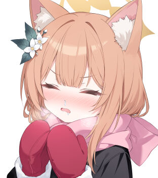 1girl absurdres animal_ears blue_archive blush cat_ears cat_girl center-flap_bangs closed_eyes drooling enpera flower fur-trimmed_sleeves fur_trim hair_flower hair_ornament halo hands_up highres lisu mari_(blue_archive) mittens open_mouth orange_hair orange_halo pink_scarf portrait red_mittens saliva scarf simple_background snot solo tearing_up v-shaped_eyebrows white_background white_flower