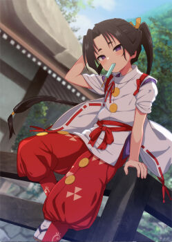 Rule 34 | 1boy, absurdres, black hair, blurry, blurry background, blush, ca ligula (extendzamonas), commentary request, food, food in mouth, highres, houjou tokiyuki (nige jouzu no wakagimi), long hair, looking at viewer, low-tied long hair, male focus, nige jouzu no wakagimi, outdoors, pants, popsicle, popsicle in mouth, purple eyes, red pants, sandals, sidelocks tied back, sitting, socks, solo, sweat, tabi, trap, white socks, zouri