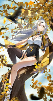 1girl absurdres ahoge arm_rest armlet asymmetrical_gloves bird black_bird black_shorts black_thighhighs blue_sky branch breasts chinese_commentary cleavage coin coin_on_string collared_shirt commentary_request cropped_jacket day elbow_gloves falling_feathers feathers fingerless_gloves floating_hair flying gloves gold_armlet hair_between_eyes hair_ornament hand_on_own_knee high-waist_shorts highres jacket knee_up large_breasts leaf long_hair looking_at_viewer mole mole_on_breast on_tree parted_lips potto_6743835 shirt shoes shorts single_elbow_glove single_hair_intake single_thighhigh sitting sky solo tassel thighhighs tree uneven_gloves very_long_hair white_hair white_shirt white_shoes yellow_eyes yellow_jacket yin_yang_pin yixuan_(zenless_zone_zero) zenless_zone_zero