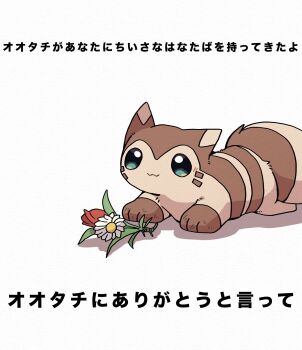 Rule 34 | brown fur, check translation, commentary request, flower, furret, gen 2 pokemon, highres, kemosuk, looking at viewer, nintendo, no humans, pokemon, pokemon (creature), red flower, simple background, solo, translation request, transparent background, two-tone fur, white background, white flower