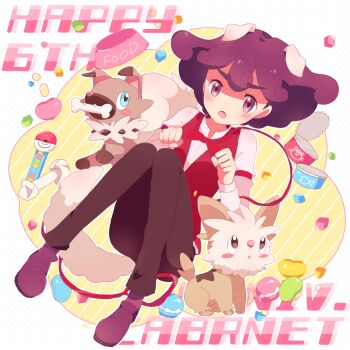 Rule 34 | 1girl, 33lol, :o, animal ears, black pants, blush, blush stickers, bone, bowl, burgundy (pokemon), can, canned food, character name, dog ears, fang, full body, gen 5 pokemon, gen 7 pokemon, hand up, happy birthday, highres, knees together feet apart, leash, lillipup, looking at viewer, nintendo, pants, pet bowl, pet food, poke ball, poke puff, pokeblock, pokemon, pokemon (anime), pokemon (creature), pokemon bw (anime), pokepuff, purple eyes, purple footwear, purple hair, rawhide, rockruff, simple background, thick eyebrows, tin, tin (container), vest, white background