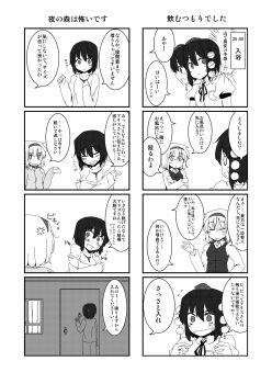 Rule 34 | 4koma, alice margatroid, comic, greyscale, highres, lysander z, monochrome, shameimaru aya, touhou, translation request