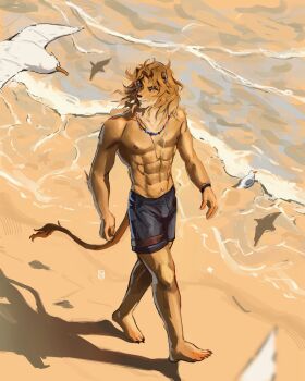 1boy abs animal_ears artist_logo bara barefoot beach bead_necklace beads bird black_shorts claws commentary edhitcream english_commentary fortnite from_above furry furry_male highres jewelry kingston_(fortnite) lion_boy lion_ears lion_mane lion_tail logo looking_to_the_side male_focus muscular muscular_male necklace nipples ocean pectorals seagull shorts sparkle tail topless_male
