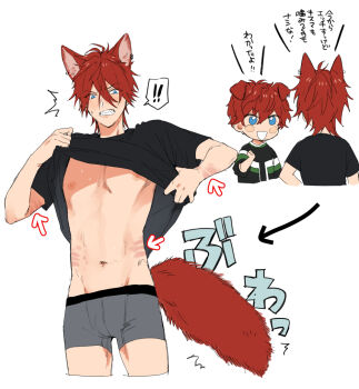 Rule 34 | !, !!, 2boys, abs, amagi hiiro, amagi rinne, animal ears, arrow (symbol), black shirt, blue eyes, blush, boxer briefs, boxers, brothers, chibi, chibi inset, clenched teeth, clothes lift, dog ears, ensemble stars!, fox boy, fox ears, fox tail, hair between eyes, kemonomimi mode, lifting own clothes, looking at viewer, male focus, male underwear, multiple boys, multiple views, nakayama miyuki, navel, nipples, open mouth, pectorals, red hair, shirt, shirt lift, short hair, short sleeves, siblings, simple background, smile, solo focus, sweat, t-shirt, tail, teeth, toned, toned male, underwear, white background, yaoi