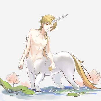 Rule 34 | 1boy, absurdres, aether (genshin impact), blonde hair, centaur, collarbone, commentary, english commentary, flower, genshin impact, hair between eyes, hair down, highres, holding, holding sponge, horse tail, lily pad, lim3cake, long hair, looking at viewer, lotus, lotus leaf, male focus, monster boy, monsterification, multiple legs, navel, parted lips, sidelocks, signature, simple background, solo, sponge, standing, tail, taur, topless male, unicorn horn, wading, water, white background, yellow eyes