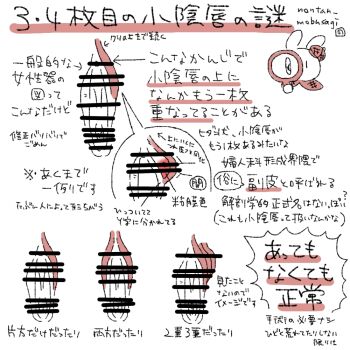 Rule 34 | animal ears, bar censor, censored, commentary request, labia stretching, long labia, nontan mobusagi, original, pussy, pussy focus, rabbit ears, sex ed, spread pussy, text focus, translation request