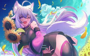 1girl :d absurdres ahoge animal_ear_fluff animal_ears bell_sleeves black_leotard black_thighhighs blue_sky breasts cat_ears cat_girl cat_tail cloud colored_inner_hair commission detached_sleeves fang feet field flower flower_field gold_necklace happy highres holding holding_flower indie_virtual_youtuber jewelry kamoi3ka5 large_breasts leotard long_hair looking_at_viewer multicolored_hair necklace one_eye_closed open_mouth outdoors petals pink_sleeves purple_eyes ring ring_necklace second-party_source see-through_clothes see-through_skirt shiyuonline skeb_commission skirt sky smile standing standing_on_one_leg stirrup_legwear sunflower sunflower_field tail thighhighs thighs toe_ring toeless_legwear toes white_hair