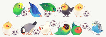animal_focus ball bird bird_request cockatiel era_(traveling_bird) finch java_sparrow lovebird no_humans original parakeet simple_background soccer_ball telstar white_java_sparrow