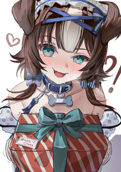 !? :d @_@ absurdres animal_collar animal_ears bibi_biscuit blue_bow blue_collar blue_eyes blush bone bow box breasts_in_a_box brown_hair cawfy clothes_down coat collar collarbone dog_ears dog_girl fang floppy_ears fur-trimmed_coat fur_trim gift gift_box hair_bow heart heavy_breathing highres leash looking_at_viewer maid_headdress multicolored_hair mystery_box off-shoulder_coat off_shoulder open_mouth phase_connect simple_background smile streaked_hair sweat tongue trembling upper_body virtual_youtuber white_background white_hair