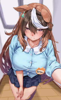 1girl alternate_costume animal_ears black_hair black_skirt blue_shirt blush breasts brown_hair buttons closed_mouth commentary_request foreshortening hair_between_eyes highres horse_ears horse_girl horse_tail indoors large_breasts long_hair looking_at_viewer multicolored_hair outstretched_arm pleated_skirt purple_eyes shirt skirt solo streaked_hair symboli_rudolf_(umamusume) tabunshake tail thighs umamusume