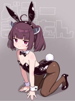 1girl all_fours animal_ears arched_back armpit_crease bare_arms bare_shoulders black_bow black_bowtie black_leotard black_pantyhose black_shoes bow bowtie brown_hair collar detached_collar fake_animal_ears flat_chest full_body hands_on_ground high_heels highres jitome legs_apart leotard light_blush loli looking_at_viewer medium_hair nattocurryumeee pantyhose playboy_bunny rabbit_ears rabbit_tail red_eyes shiny_clothes shoes smile solo straight_hair tail touhoku_kiritan translated twintails voiceroid white_collar white_wrist_cuffs wrist_cuffs