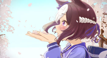 animal_ears blush brown_hair cherry_blossoms commentary_request falling_leaves hair_ornament horse_ears horse_girl leaf multicolored_hair purple_eyes shiranui_(jari_boy) short_hair special_week_(umamusume) spring_(season) umamusume upper_body