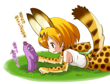+_+ 1boy 1girl animal_ears animal_print blonde_hair bow bowtie cactus crossover curious dekoboko_friends flower flower_on_head gloves grass kaos kemono_friends open_mouth print_bow print_bowtie print_skirt red_flower sabo_sabo serval_(kemono_friends) short_hair skirt sleeveless smile striped_tail tail teardrop thorns translation_request white_background