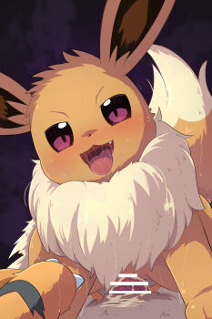 1boy 1girl animal_ears bar_censor blush brown_fur censored cowgirl_position cum cum_in_pussy eevee fang furry furry_with_furry gen_1_pokemon girl_on_top growlithe hetero highres looking_at_viewer nintendo open_mouth orange_fur penis pokemon pokemon_(creature) purple_background rumine_(yoshi1234567) sex straddling sweat tail tongue tongue_out vaginal