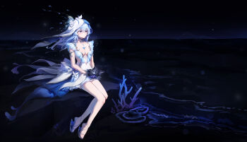 1girl absurdres armlet bare_legs black_flower black_sky blake_bloom_(wuthering_waves) blue_hair blue_veil breasts closed_mouth collarbone colored_eyelashes commentary_request dress feet flower full_body hair_between_eyes has_bad_revision has_downscaled_revision heel-less_heels highres holding holding_flower jewelry legs light_smile long_hair looking_ahead md5_mismatch medium_breasts night night_sky ohbuya outdoors purple_eyes resolution_mismatch sandals sitting sky sleeveless sleeveless_dress solo source_smaller shorekeeper_(wuthering_waves) toes two-tone_veil veil white_dress white_veil wuthering_waves