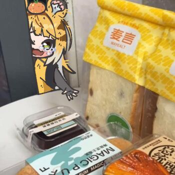 1girl animal_ear_fluff animal_ears bluebird_(leh951025) blush chibi crying crying_with_eyes_open elbow_gloves facing_viewer fang food food_focus food_on_head from_side fruit gloves green_eyes hungry jacket ju_fufu korean_commentary long_hair looking_at_food mixed-language_commentary object_on_head open_mouth orange_(fruit) orange_hair photo_background reaching sidelocks skin_fang solo tears tiger_ears tiger_girl tiger_stripes yellow_jacket zenless_zone_zero