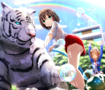 &gt;_&lt; 1other 2girls absurdres animal aoi_erika arms_up ass blue_jacket blue_sky blurry blurry_background blush blush_stickers breasts brown_hair building byakko_(heaven_burns_red) closed_eyes closed_mouth cloud collared_shirt day depth_of_field dress_shirt green_eyes hair_between_eyes hair_over_one_eye heaven_burns_red highres holding hose jacket kayamori_ruka long_sleeves looking_at_viewer miniskirt multiple_girls narby_(heaven_burns_red) necktie open_clothes open_mouth outdoors plaid_clothes plaid_skirt pleated_skirt rainbow red_necktie red_skirt school_uniform see-through_clothes shirt short_hair skirt sky slime_(creature) smile tiger water wet wet_clothes wet_shirt white_shirt white_tiger yanikura