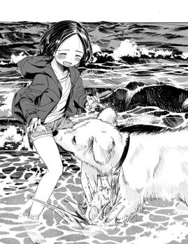 Rule 34 | 1girl, bad id, bad twitter id, beach, blush, closed eyes, dog, female focus, greyscale, hood, hoodie, inactive account, masuda (yousaytwosin), monochrome, original, outdoors, short shorts, shorts, smelling, smile, solo, waves