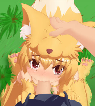 Rule 34 | 1boy, 1girl, aki 32, animal feet, animal hands, blonde hair, blush, breasts, censored, commentary request, fellatio, fox girl, fox hat, fox tail, full body, grass, hand on another's head, hetero, highres, irrumatio, looking at viewer, moonlight flower, mosaic censoring, nose blush, oral, penis, pov, pov crotch, ragnarok online, red eyes, short hair, small breasts, solo focus, tail, variant set