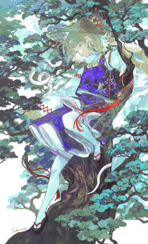 1girl absurdres alternate_headwear animal_print bell black_sandals blonde_hair brown_hat chinese_commentary commentary_request cui_suika frog_print hair_ribbon hat highres jingle_bell long_hair long_sleeves mishaguji moriya_suwako purple_skirt purple_vest ribbon sandals skirt skirt_set snake solo standing thighhighs touhou tree vest white_ribbon white_snake white_thighhighs wide_sleeves yellow_eyes
