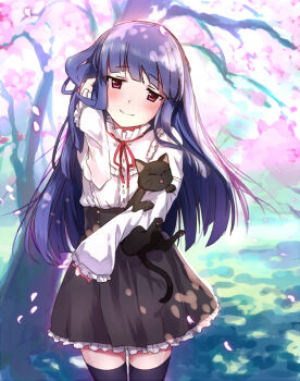 Rule 34 | 10s, 1girl, adjusting hair, animal, black hair, black skirt, blouse, blue hair, blush, cat, cherry blossoms, cowboy shot, dappled sunlight, dress, female focus, frilled skirt, frills, head tilt, holding, holding animal, idolmaster, idolmaster cinderella girls, long hair, long sleeves, looking at viewer, miniskirt, neck ribbon, nemeko, outdoors, red eyes, red ribbon, ribbon, sajo yukimi, shirt, skirt, smile, solo, sunlight, thighhighs, tree, white shirt, zettai ryouiki