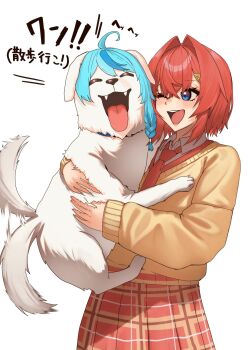Rule 34 | 1girl, :d, ^ ^, ahoge, alternate costume, ange katrina, animal, animal with hair, animalization, blue eyes, blue hair, blush, braid, closed eyes, collared shirt, commentary request, cowboy shot, crossed bangs, dog, doidamon, fangs, floppy ears, gradient eyes, hair between eyes, hair intakes, hair ornament, highres, holding, holding animal, holding dog, looking at another, medium hair, multicolored eyes, multicolored hair, necktie, nijisanji, one eye closed, open mouth, plaid clothes, plaid skirt, purple eyes, red hair, red necktie, red skirt, school uniform, shirt, side braid, simple background, skirt, sleeves past wrists, smile, streaked hair, sweater, tail, tail wagging, tamanoi nana, teeth, tongue, tongue out, translation request, triangle hair ornament, two-tone hair, upper teeth only, virtual youtuber, white background, white dog, white shirt, yellow sweater