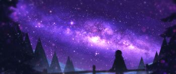 Rule 34 | 1other, against fence, black hoodie, commentary, cowboy shot, english commentary, fence, forest, from behind, galaxy, hill, hood, hood up, hoodie, landscape, milky way, nature, night, night sky, original, outdoors, painterly, pine tree, purple theme, scenery, silhouette, sky, sky focus, solo, standing, star (sky), starry sky, tree, wide shot, wooden fence, zandra