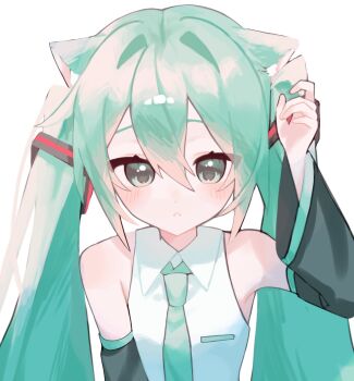 1girl animal_ear_fluff animal_ears aqua_eyes aqua_hair aqua_necktie aqua_trim black_sleeves blush breast_pocket cat_ears cat_girl collared_shirt detached_sleeves edari0419 hair_between_eyes hair_ornament hand_up hatsune_miku highres kemonomimi_mode long_hair long_sleeves looking_at_viewer necktie parted_lips pocket raised_inner_eyebrows shirt sidelocks simple_background sleeveless sleeveless_shirt solo twintails upper_body vocaloid white_background white_shirt