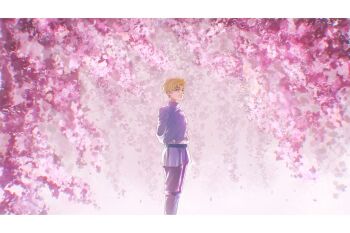 Rule 34 | 1boy, arms behind back, belt, black belt, black pants, blonde hair, blue eyes, blue jacket, border, chi.: chikyuu no undou ni tsuite, closed mouth, commentary request, feet out of frame, flower, highres, jacket, letterboxed, light smile, looking at viewer, male focus, pants, parted bangs, pink flower, rafal (chi.), short hair, solo, swept bangs, tamanae, white border